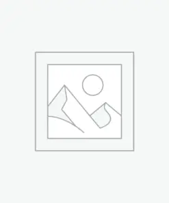 プレースホルダー